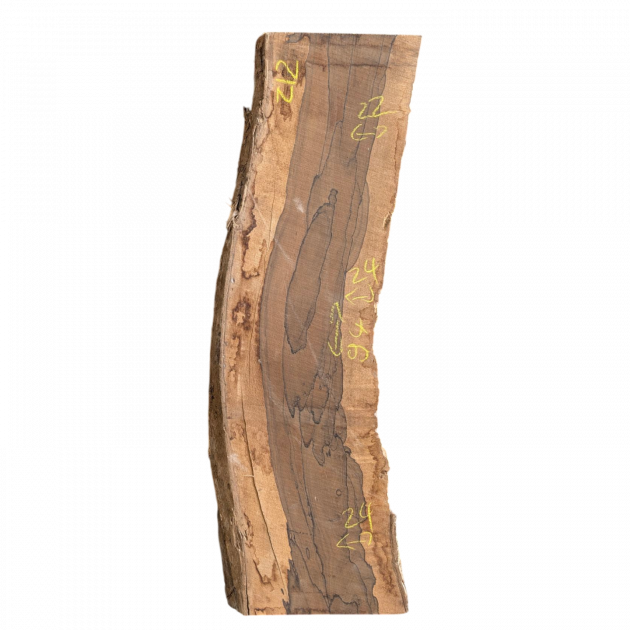 Ziricote 94/22-24/3,5cm ZI2