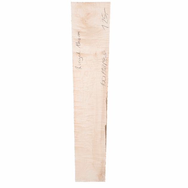Riegel Ahorn gehobelt 100/18/4,8cm
