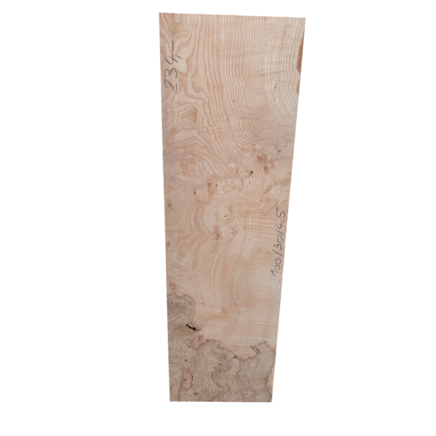 Esche Maser 100/30/4,5cm