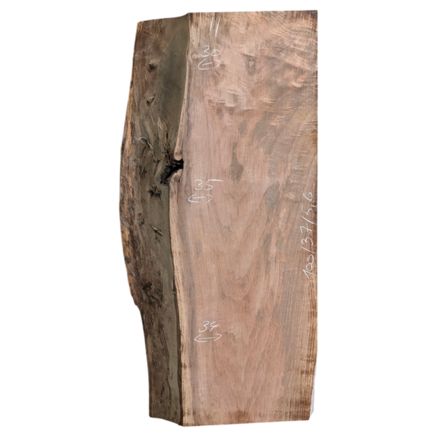 Europ. Nussbaum gehobelt 100/37/5,6cm