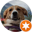 Profilbild von „Karsten T.“