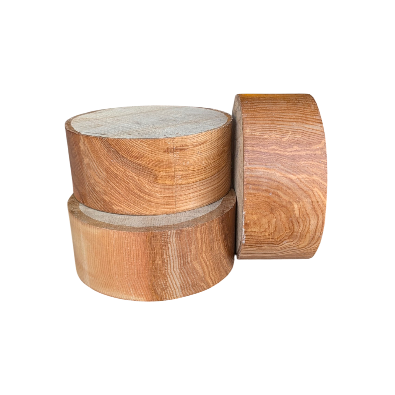 Kern- Olivesche Schalenrohling Rund 200X85mm – Bild 3